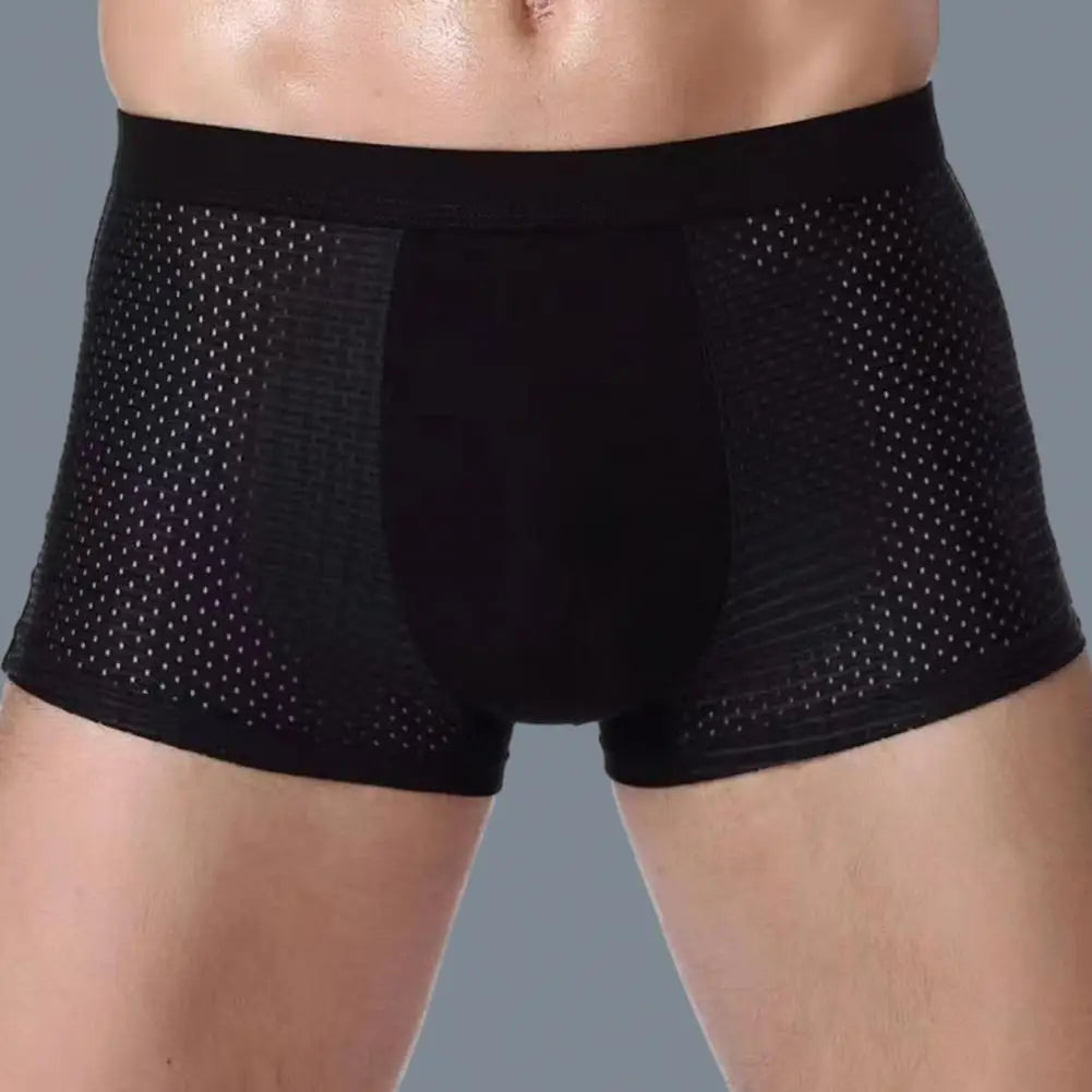 Men Ice Silk Mesh Underpants