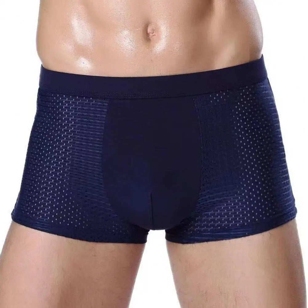 Men Ice Silk Mesh Underpants