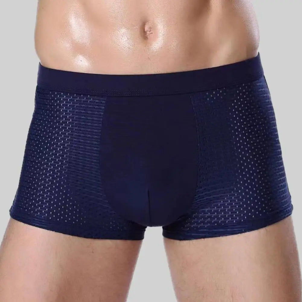 Men Ice Silk Mesh Underpants