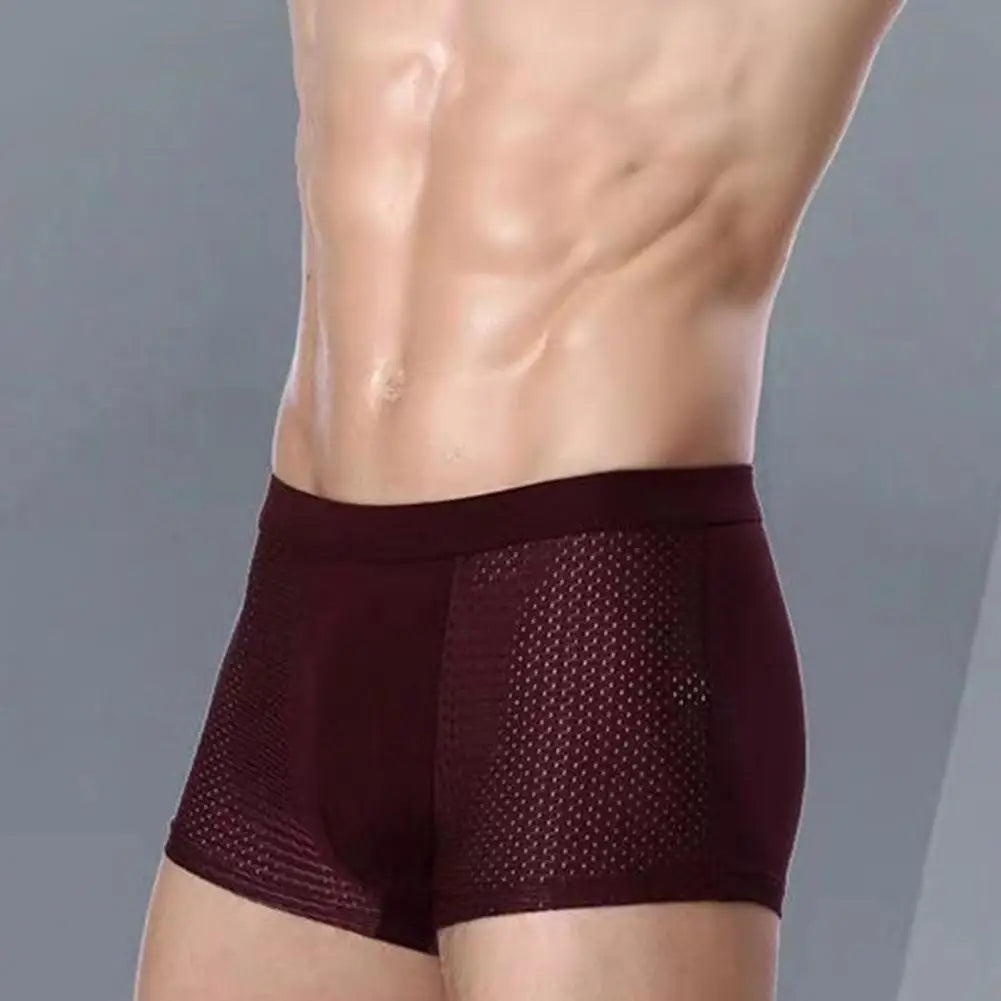 Men Ice Silk Mesh Underpants