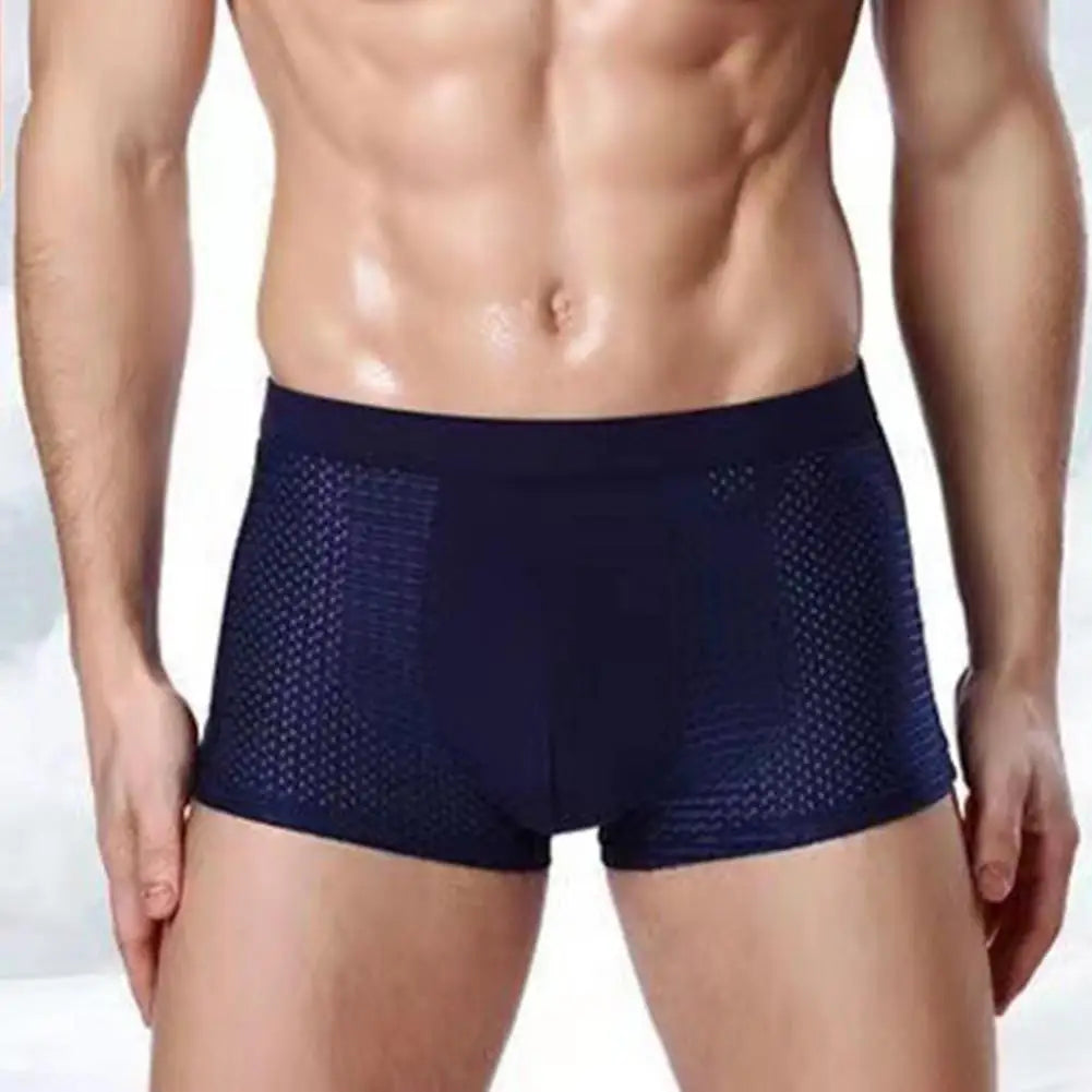 Men Ice Silk Mesh Underpants