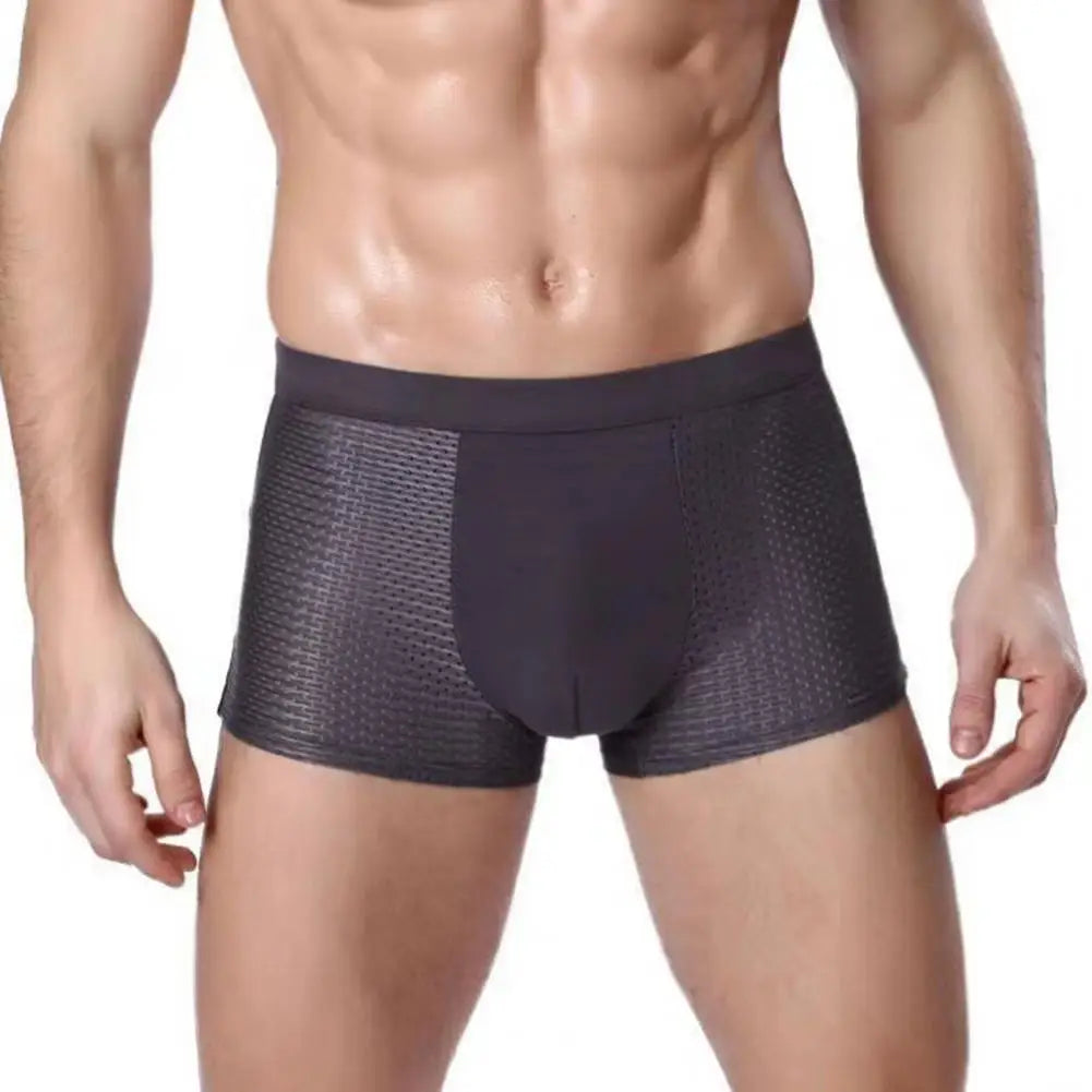 Men Ice Silk Mesh Underpants