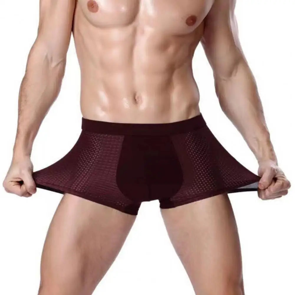 Men Ice Silk Mesh Underpants