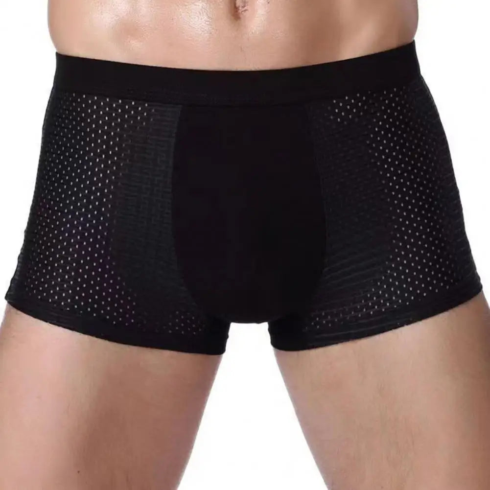 Men Ice Silk Mesh Underpants